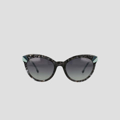 Black Tortoise