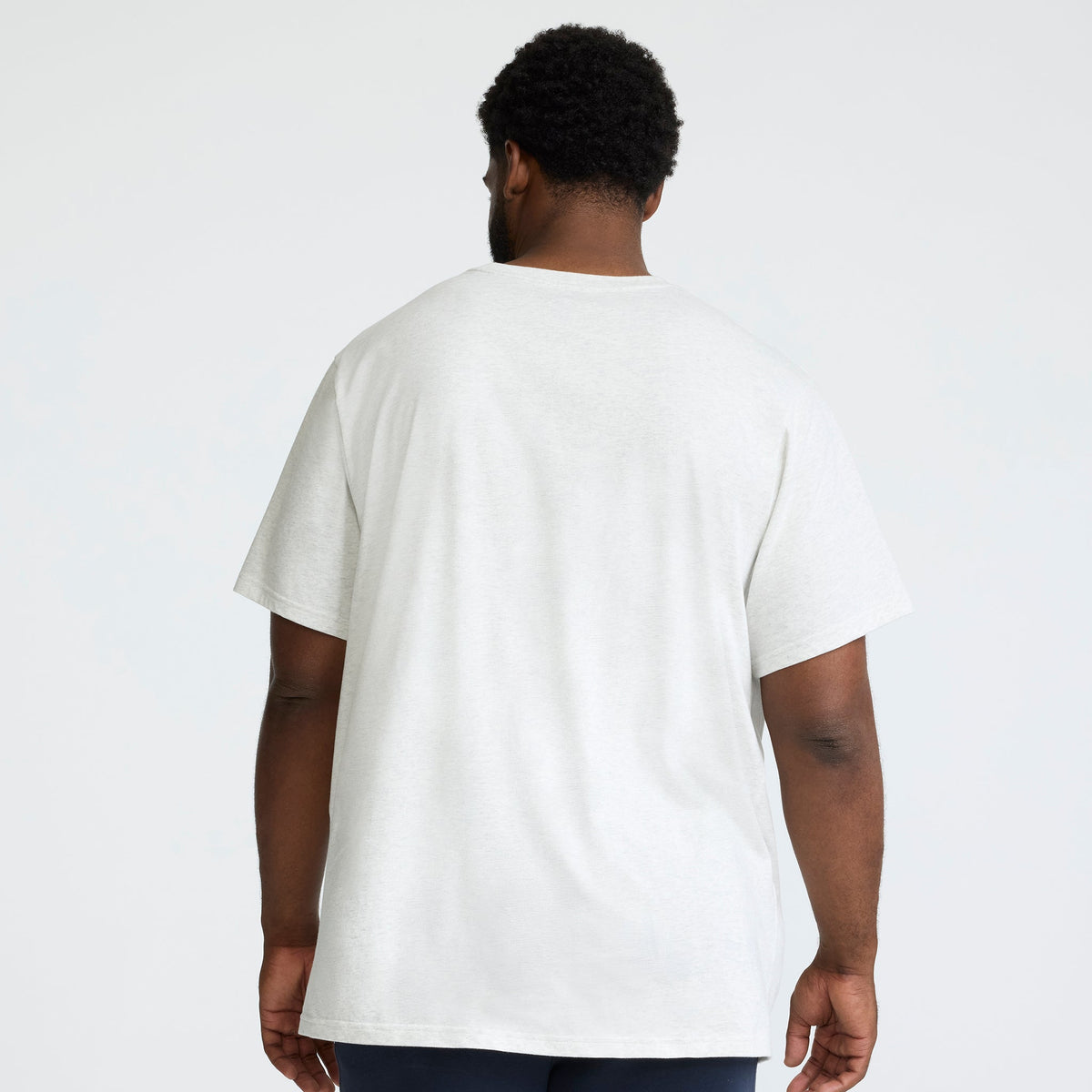 Champion Classic Graphic T-Shirt, Script Logo - Big & Tall in Platinum Silver Heather