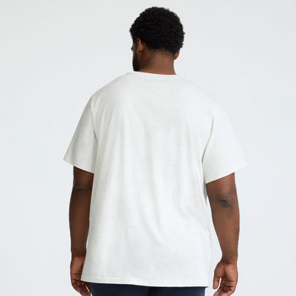 Champion Classic Graphic T-Shirt, Script Logo - Big & Tall in Platinum Silver Heather