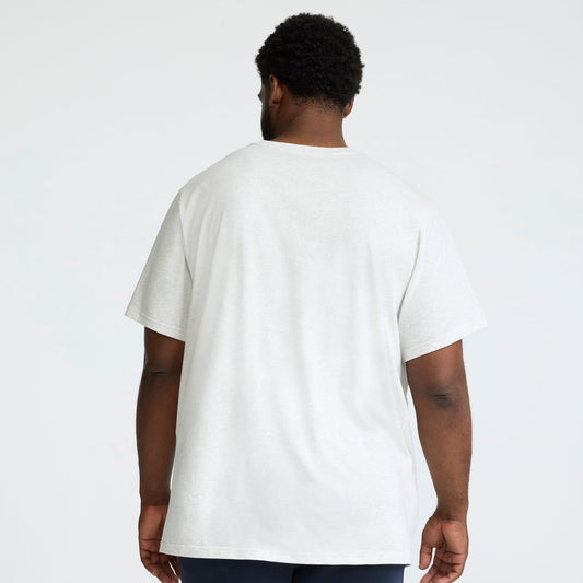 Champion Classic Graphic T-Shirt, Script Logo - Big & Tall in Platinum Silver Heather